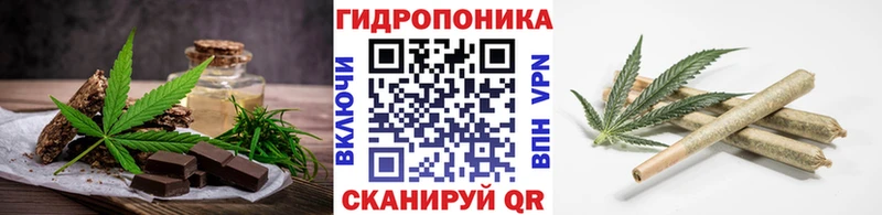 где можно купить   Пучеж  ОМГ ОМГ онион  Canna-Cookies конопля 