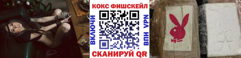 Кокаин FishScale  сколько стоит  MEGA ССЫЛКА  Пучеж 