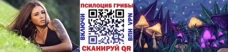 Галлюциногенные грибы мицелий  Пучеж 